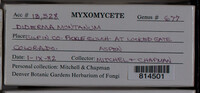 Image Associated With the Occurence